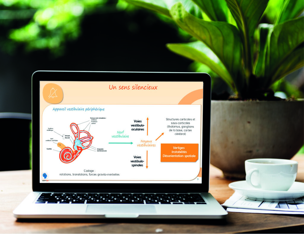 An example of science illustration on a laptop