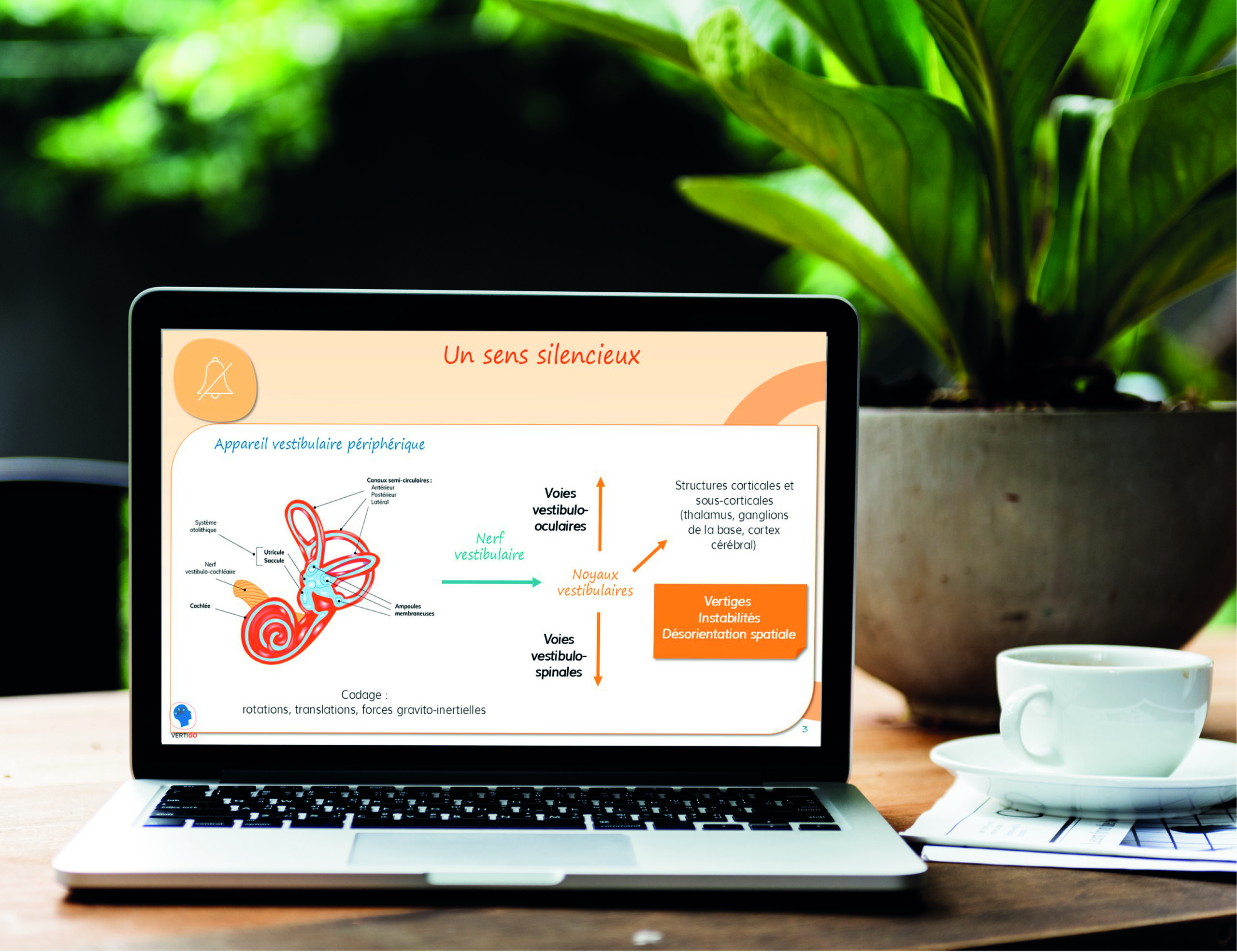 An example of science illustration on a laptop